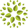 Daves Eko picture logo